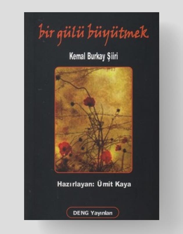 Bir Gülü Büyütmek