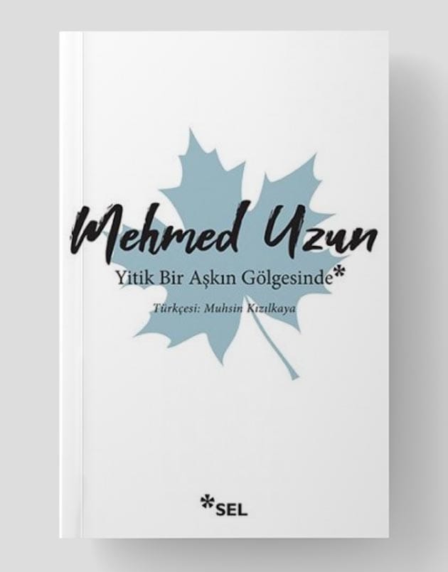 Yitik Bir Aşkın Gölgesinde