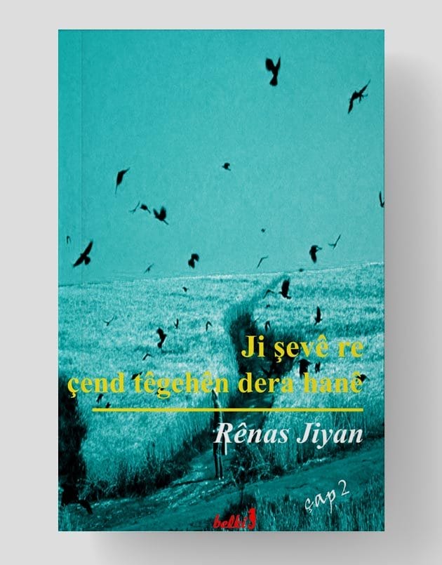 Ji Şevê Re Çend Têgehên Dera Hanê - Rênas Jiyan