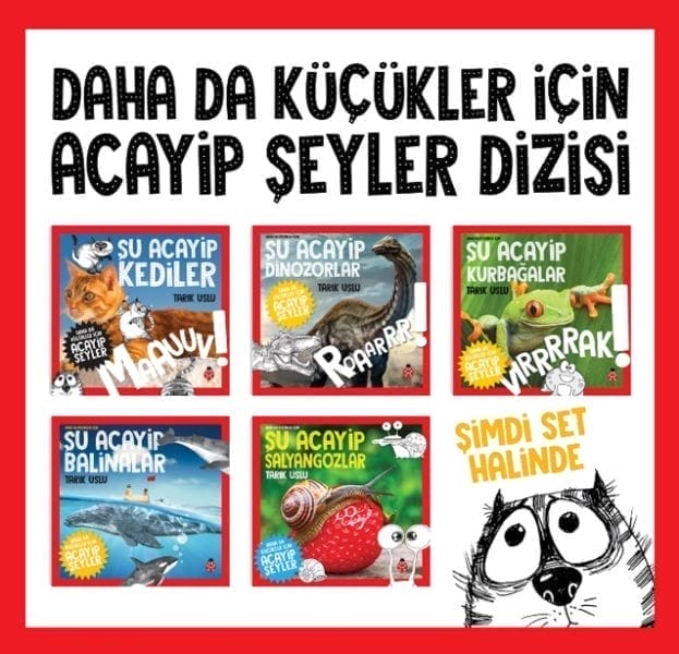 Erstaunliche Dinge für noch jüngere Kinder, Set 1 (5 Bücher)