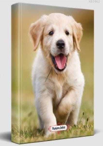 Deftera Plansaziyê - Mîrê Dilşad