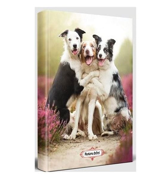 Hevalên Dilşad - Deftera Plankirinê