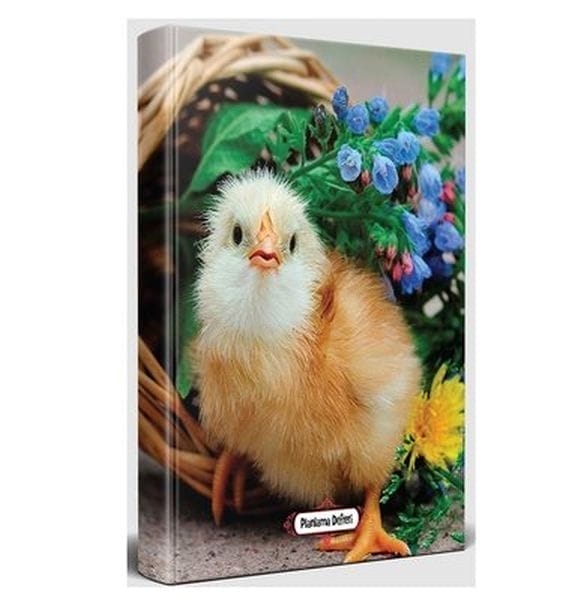 Deftera Plankirinê ya Mirîşkê