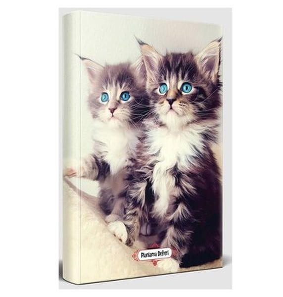 Pisîkên Şîn - Deftera Plankirinê