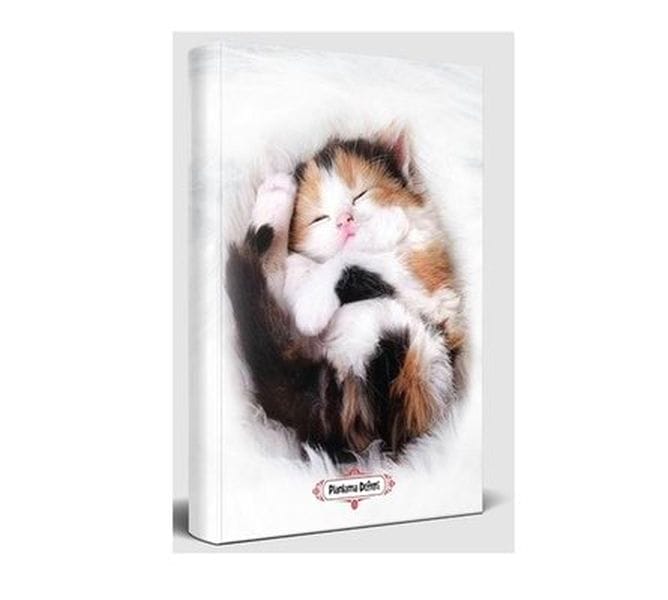Sleepy Cat – Planungsnotizbuch