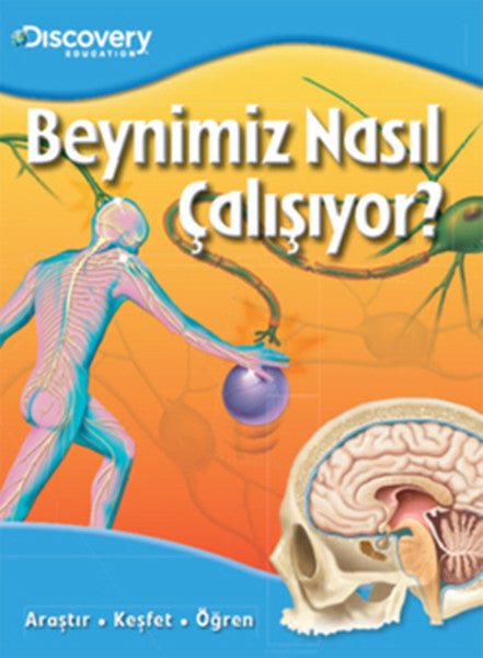 Dıscovery Education Beynimiz Nasıl Çalışıyor?