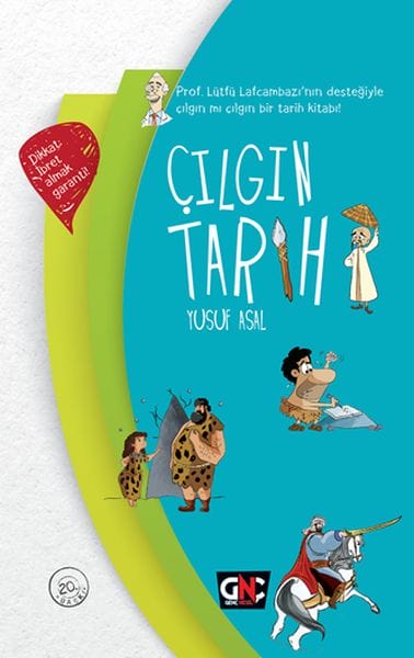 Verrückte Geschichte (Gebundene Ausgabe)