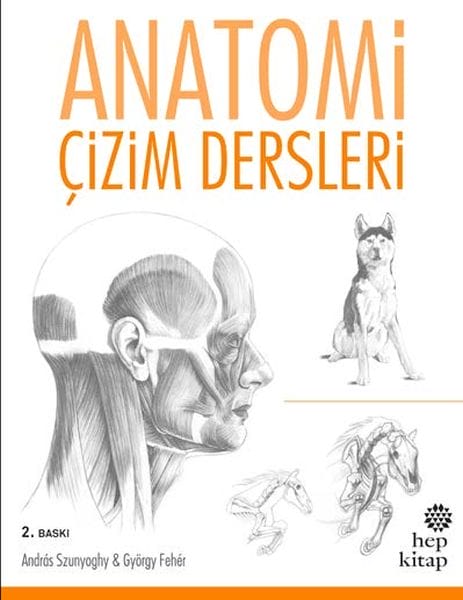 Anatomie-Zeichenkurse