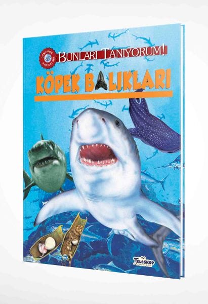 Ich kenne diese! - Haie