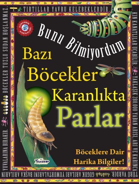 Bazı Böcekler Karanlıkta Parlar - Bunu Bilmiyordum - Böceklere Dair Harika Bilgiler!