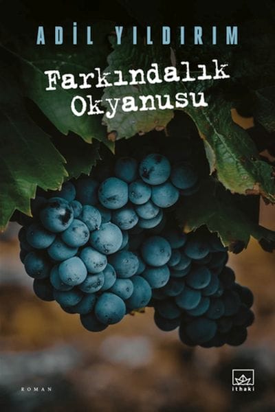 Ozean des Bewusstseins