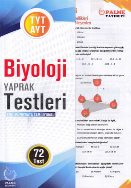 Palme TYT-AYT Worksheet (Nû)
