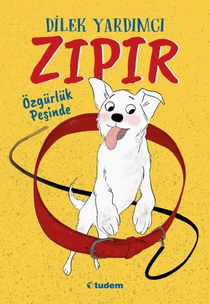 Yê Şermok Li Pey Azadiyê