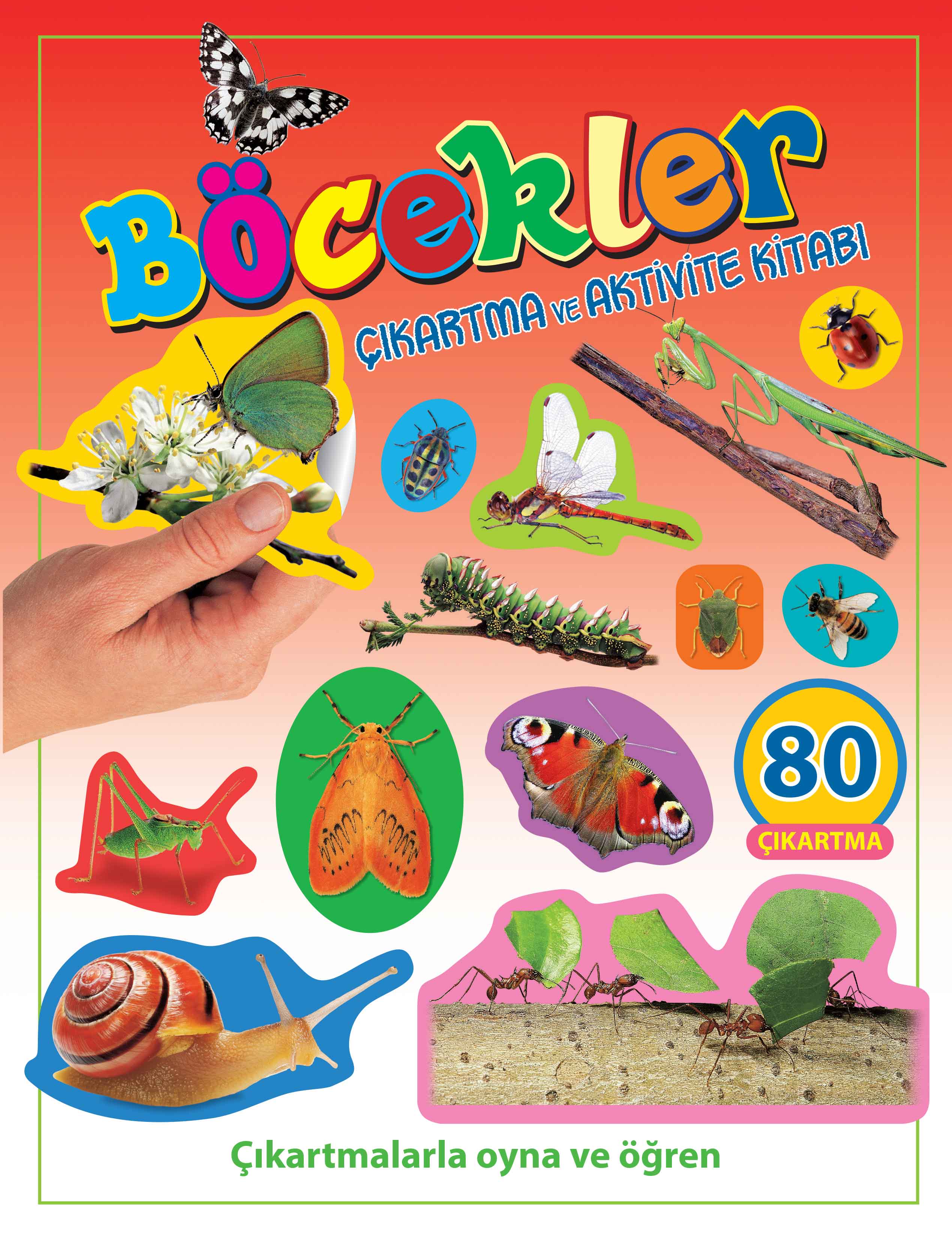 Böcekler - Çıkartma ve Aktivite Kitabı