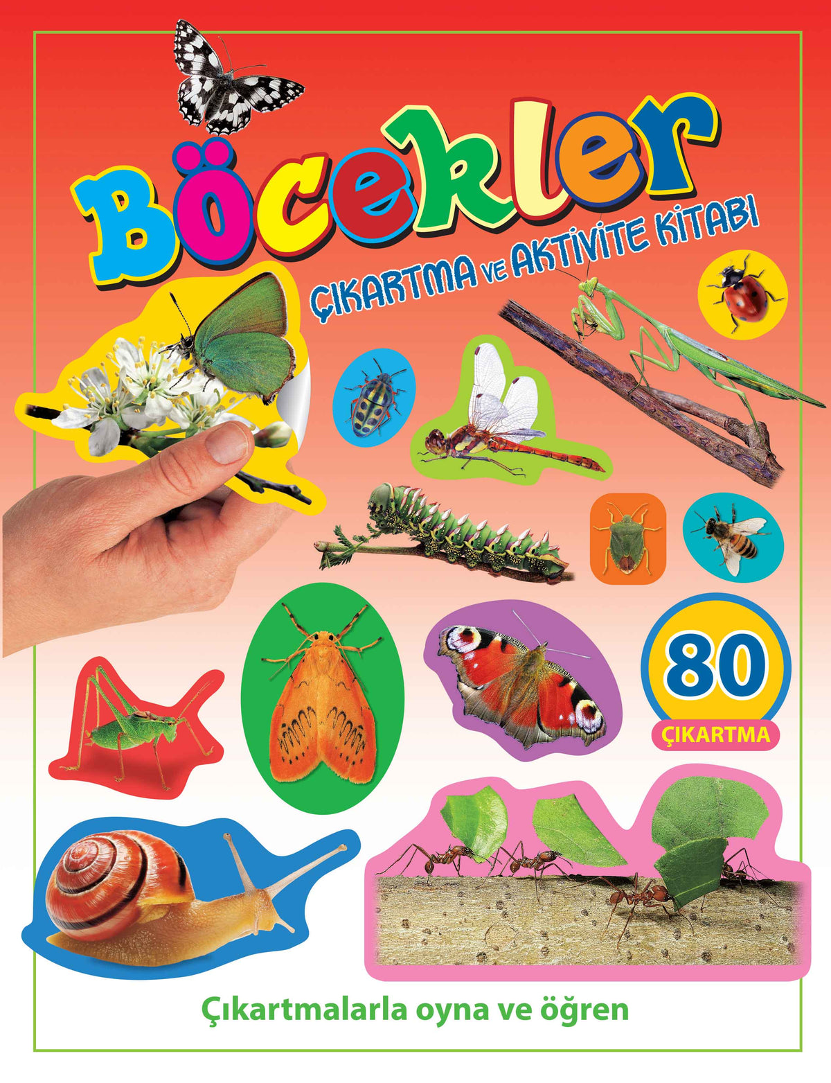 Böcekler - Çıkartma ve Aktivite Kitabı