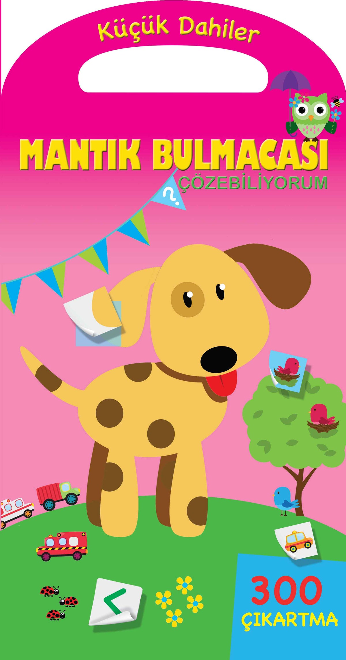 Dehayên Biçûk - Ez Dikarim Puzzlesên Mantîqî Çareser Bikim