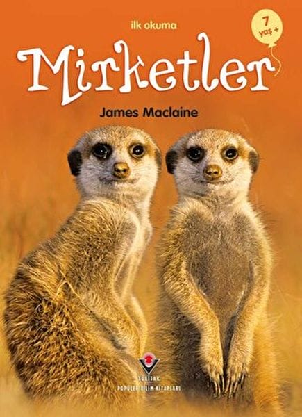 Xwendina Yekem - Meerkats