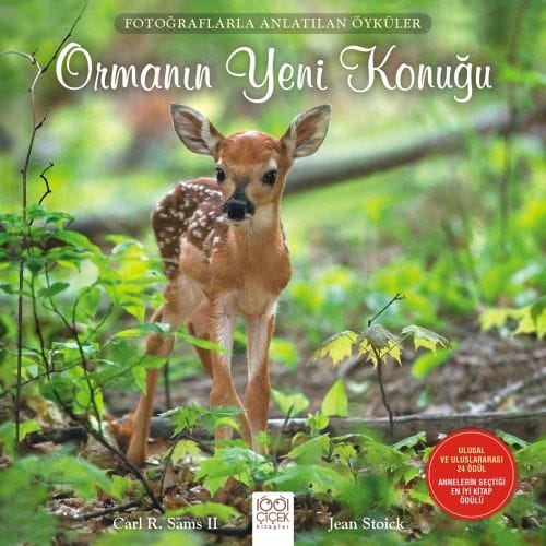 Geschichten erzählt durch Fotografien – Der neue Gast des Waldes