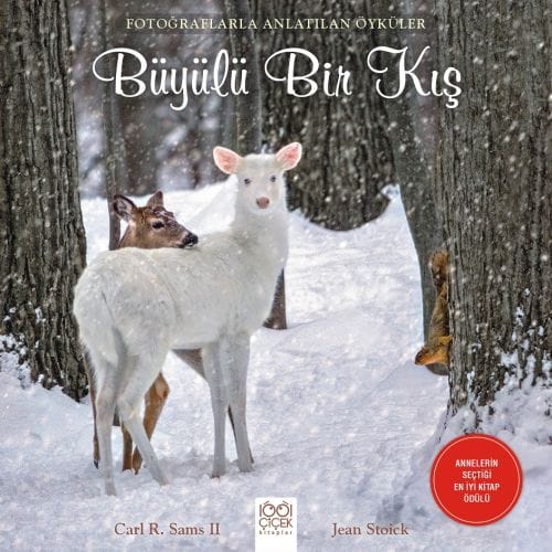 Geschichten erzählt durch Fotografien – Ein magischer Winter