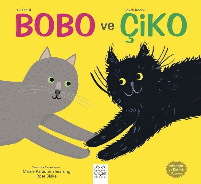 Bobo, die Hauskatze, und Chiko, die Straßenkatze – Über Freundschaft und Kameradschaft
