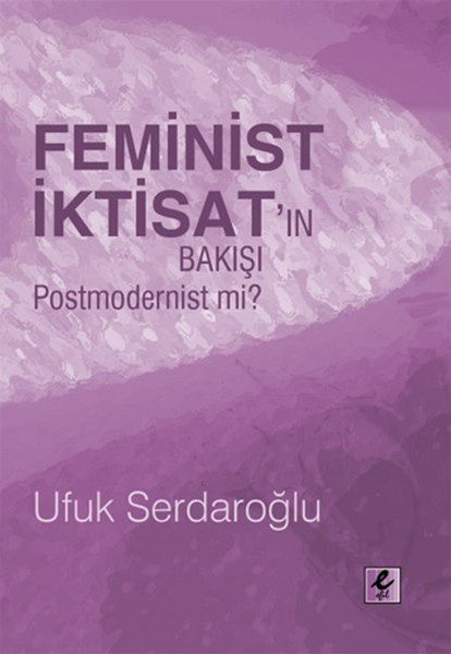 Ist die feministische ökonomische Perspektive postmodernistisch?