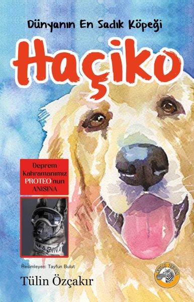 Hachiko, Kûçikê Herî Dilsoz ê Cîhanê