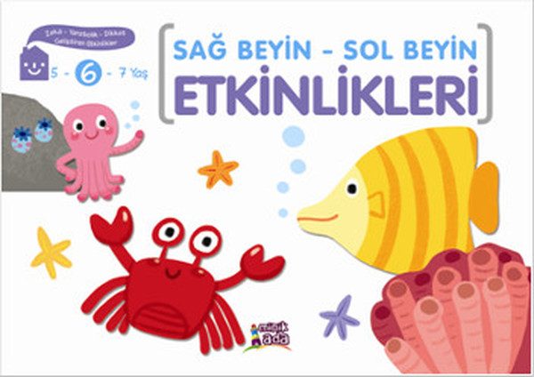 Sağ Beyin - Sol Beyin Etkinlikleri (6 Yaş)