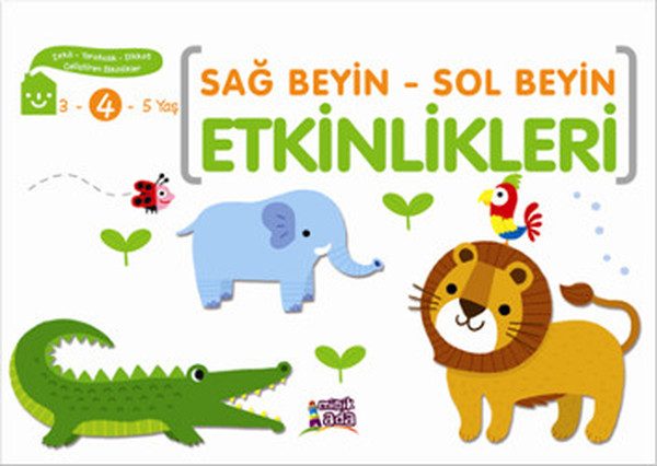 Sağ Beyin - Sol Beyin Etkinlikleri (4 Yaş)