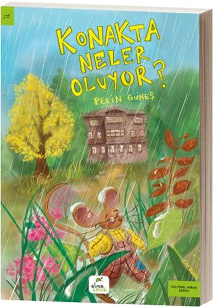 Li meyxaneyê çi diqewime?