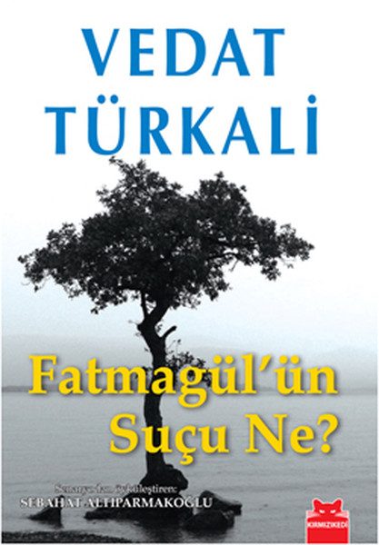 Sûcê Fatmagül çi ye?