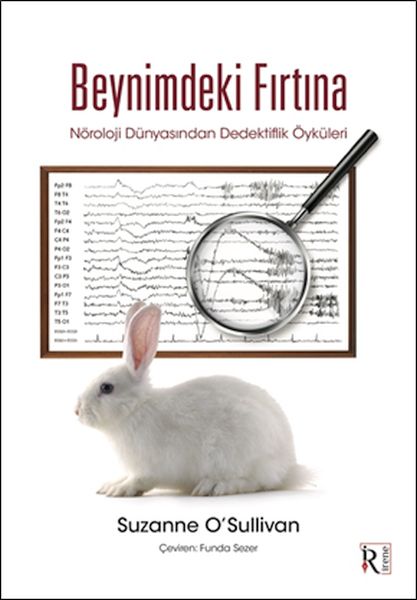 Der Sturm in meinem Gehirn