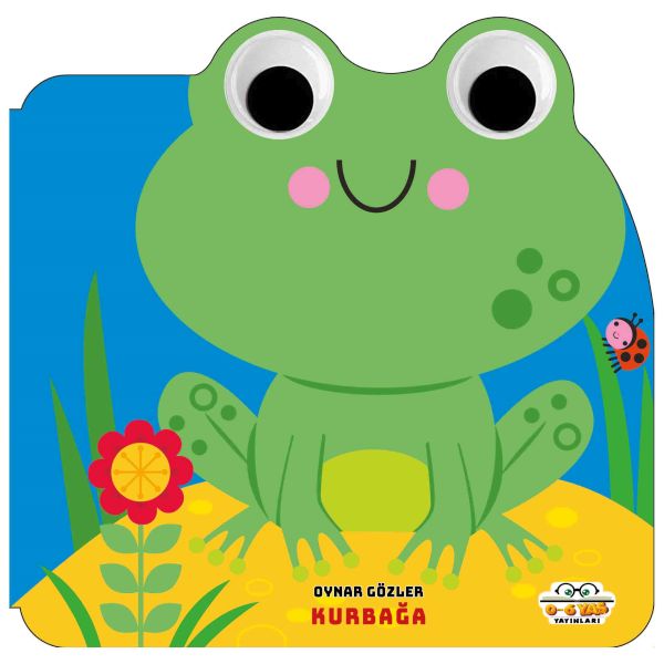 Die beweglichen Augen – Der Frosch