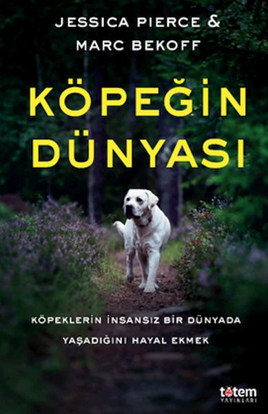 Cîhana Kûçikan