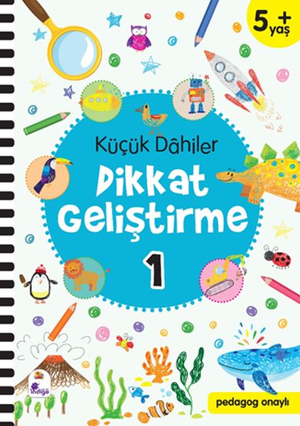 Little Geniuses Aufmerksamkeitsentwicklung 1-5+ Jahre (Pädagogisch anerkannt)