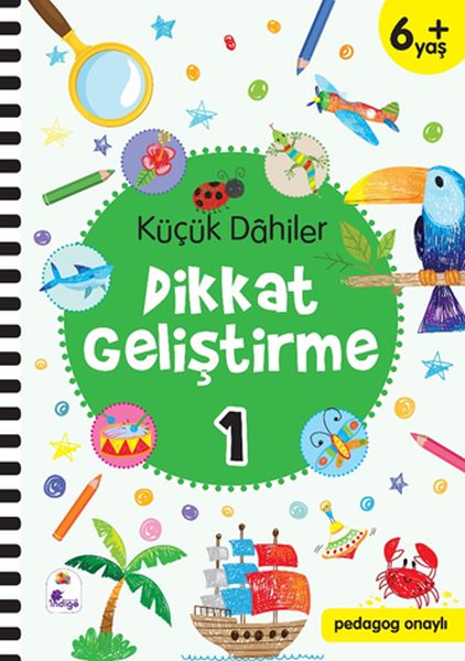 Pêşveçûna Baldariyê ya Dehayên Biçûk 1-6+ Sal (Ji hêla Pedagojîk ve Pejirandî)