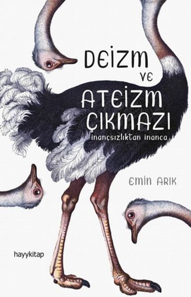 Deizm ve Ateizm Çıkmazı - Herkes İçin Tasavvuf  66
