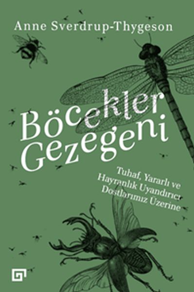 Gerstêrka Mêşan - Li Ser Hevalên Me yên Xerîb, Bikêrhatî û Balkêş