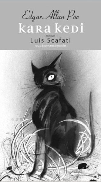 Schwarze Katze