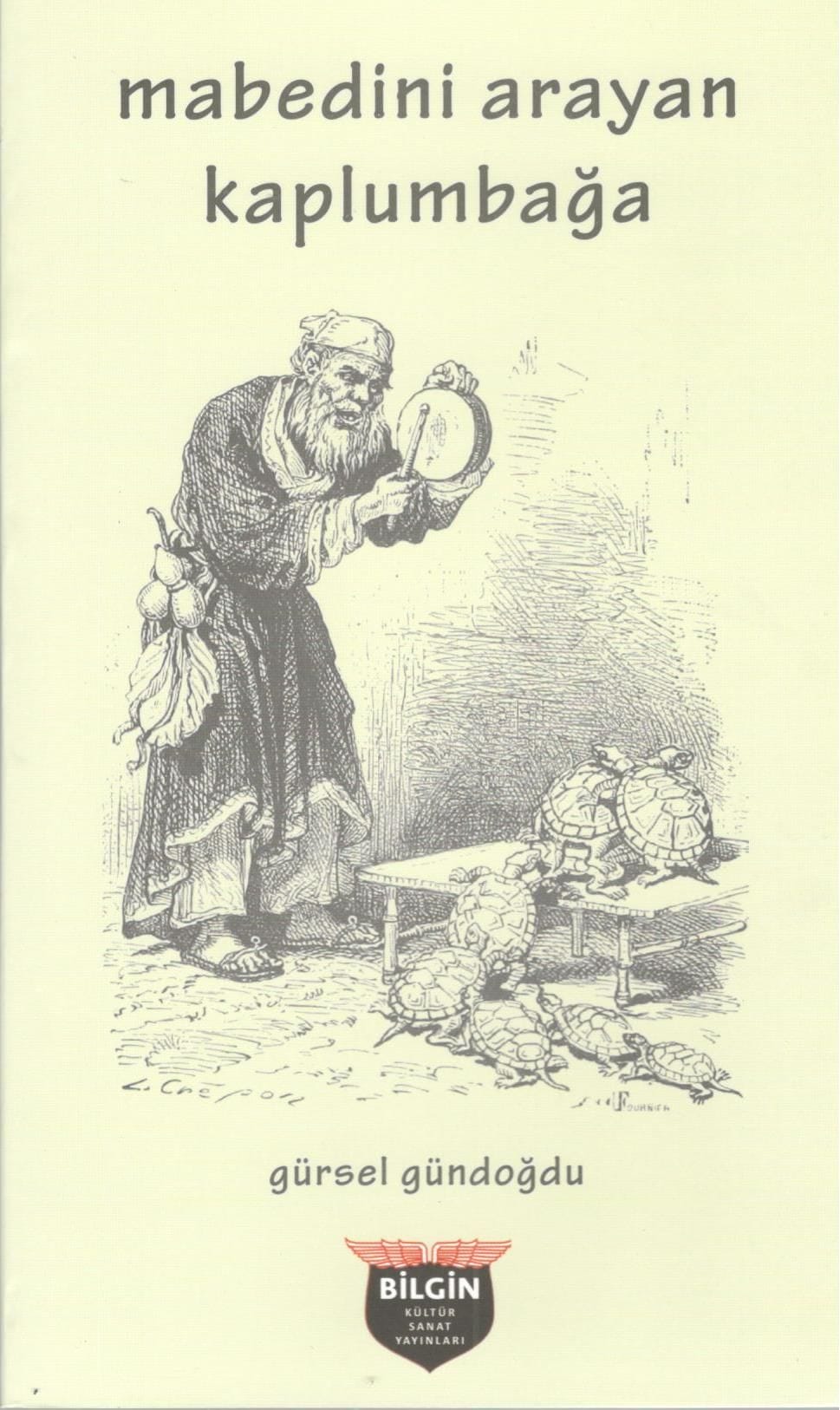 Die Schildkröte auf der Suche nach ihrem Zufluchtsort