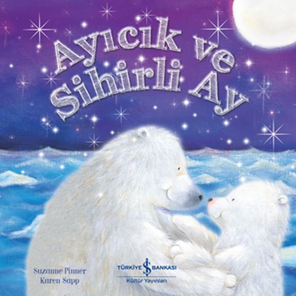 Teddybär und der magische Mond