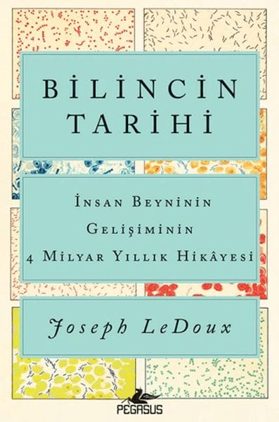 Dîroka Hişmendiyê: Çîroka 4 Milyar Salî ya Pêşveçûna Mejiyê Mirovan