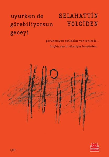 Man kann die Nacht sogar im Schlaf sehen.