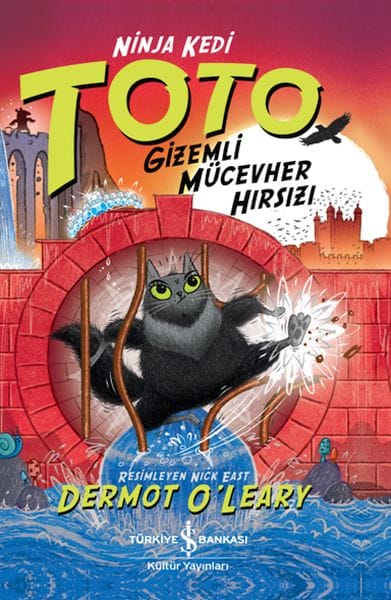 Ninja-Katze Toto – Der geheimnisvolle Juwelendieb