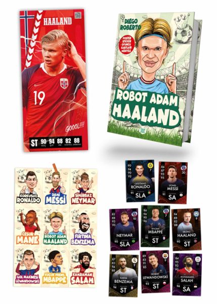 Robot Man Haaland (Bergê hişk)