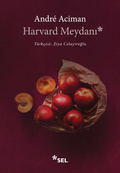 Meydana Harvardê