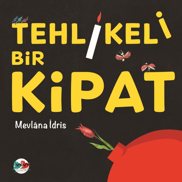 Ein gefährliches Buch