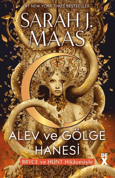 Crescent City 3: Mala Agir û Siyê