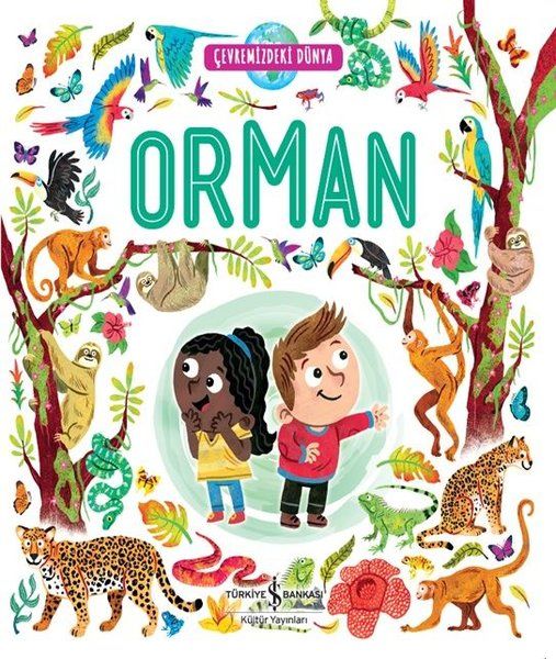 Wald – Die Welt um uns herum