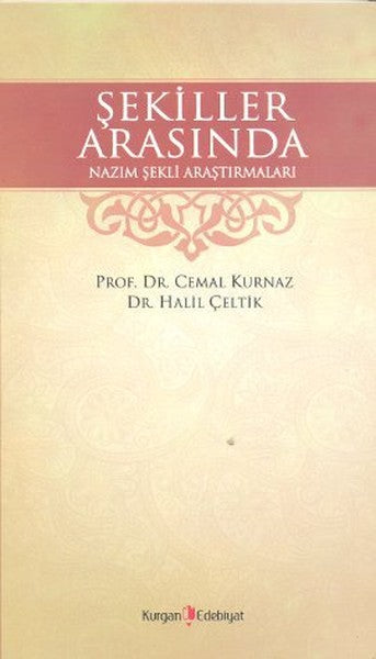 Şekiller Arasında Nazım Şekli Araştırmaları