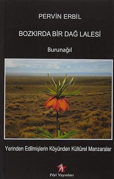 Bozkırda Bir Dağ Lalesi